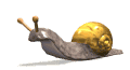 caracol2.gif