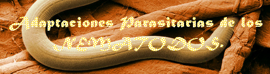 fer.png