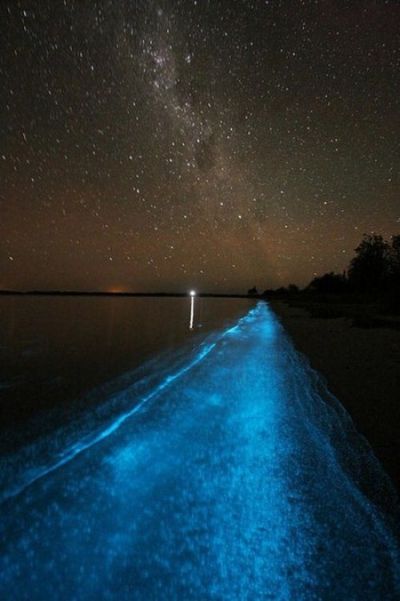 external image bioluminescent_lake_01.jpg