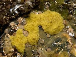 0005.JPG
