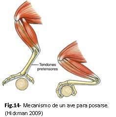 Fig14.JPG