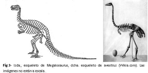 Fig3.JPG Fig3.JPG