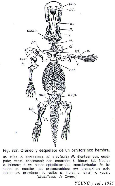 external image fig327-1.jpg