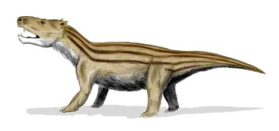 cinodontos.jpg