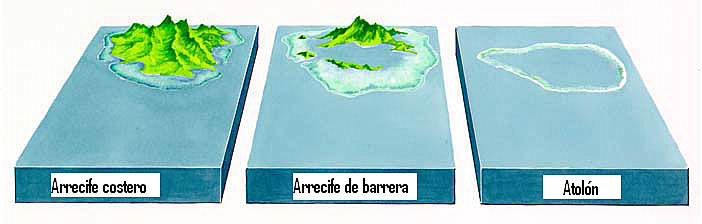 Dibujo_3_arrecifes,1.jpg