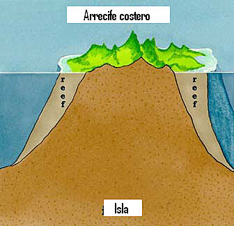 costero.1.jpg