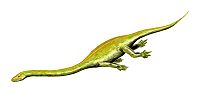 external image 200px-Dinocephalosaurus_BW.jpg