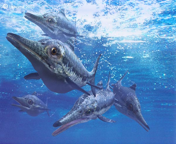external image Ichthyosaurus.jpg
