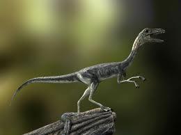compsognathus.jpg